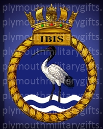 HMS Ibis Magnet